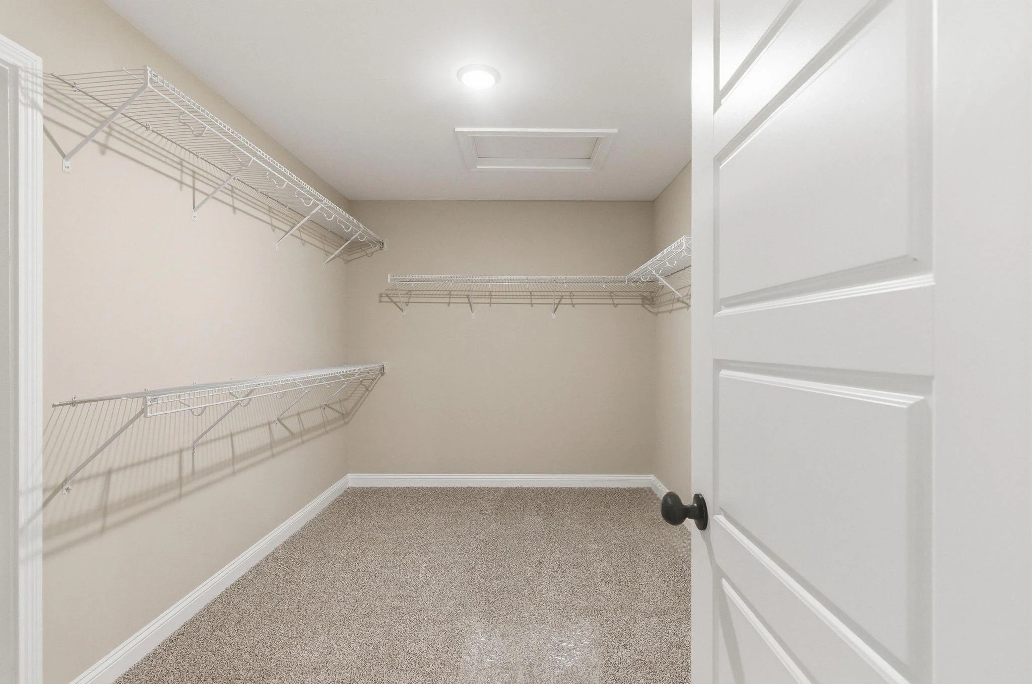 53_dsc08869_autoremove_21041129